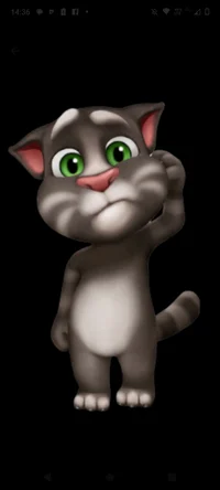 2014 Talking Tom