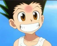Gon Freecss