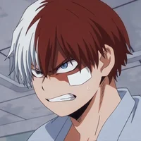 MHA- Shoto Todoroki 