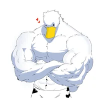 Duck-Bara
