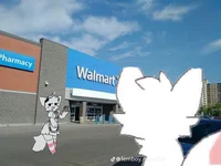 Boykisser Walmart