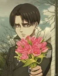 Levi Ackerman 