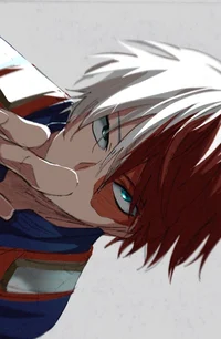 Shoto todoroki