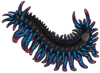 Void Centipedes