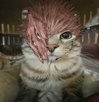 ryeowmen sukuna