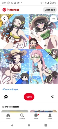 DS harem 