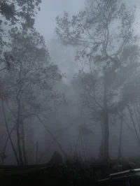 zombie apocalypse