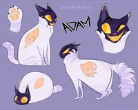 Adam hh cat