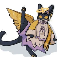 Cat Adam