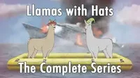 Lamas with hats