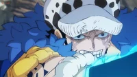 Trafalgar Law 