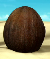 Coconut