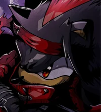 Shadow the Hedgehog