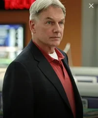 Leroy Jethro Gibbs