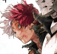Shoto Todoroki 