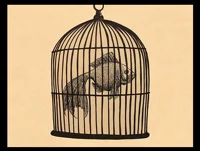 Fish in a Birdcage