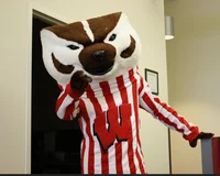 Bucky Badger