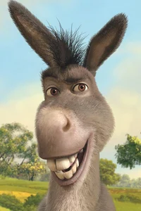Donkey 