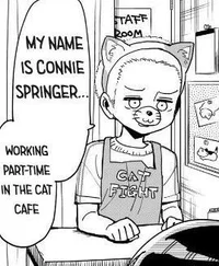 Connie Springer
