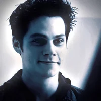 VOID STILES