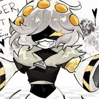 Serial Designation V