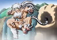 White Tiger Rei