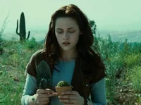 Bella Swan