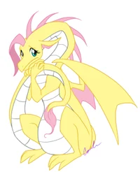 Dragonshy
