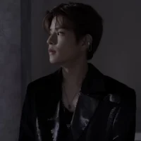 Kim seungmin 