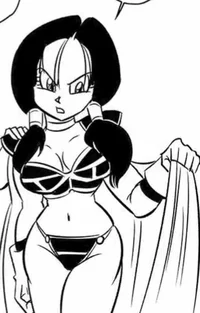 Videl