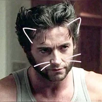 Wolverine