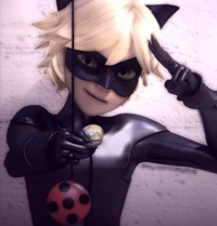 Cat Noir