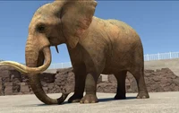Elephant vore