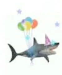 birthday shark