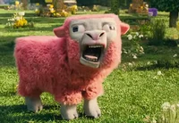 Pink Sheep