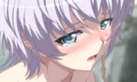 Shy Sasha