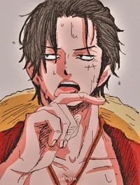 Luffy adulto