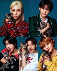 Stray kids