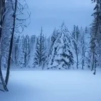 Snowdin Forest