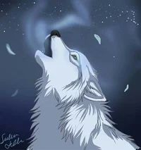 Lobo