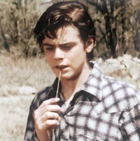 Ponyboy Curtis