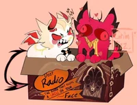 Cat Radioapple - HH 