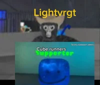 Lightvrgt
