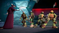 Ninja Turtles 