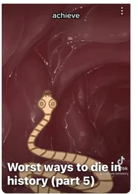 Tapeworm