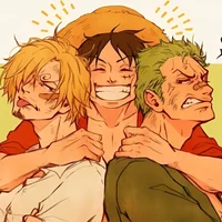 Zoro Luffy Sanji