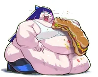 Stocking Obese