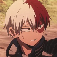 Shoto Todoroki
