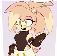 Koko the hedgehog