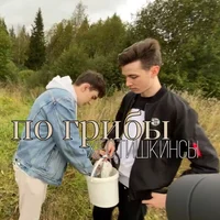 Хестишкины